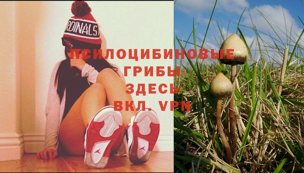 прущие крисы Бронницы