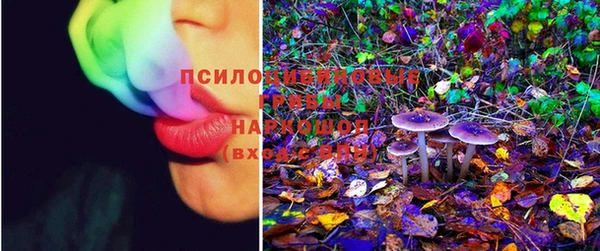 прущие крисы Бронницы