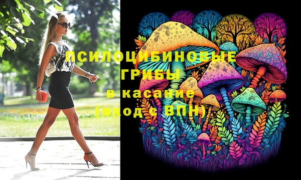 а пвп мука Бугульма