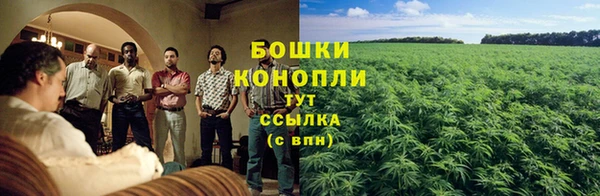 мяу мяу мука Чердынь