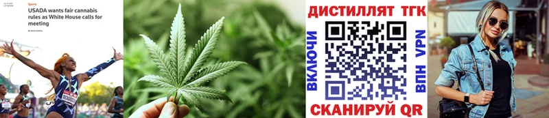 купить  сайты  Новая Усмань  Дистиллят ТГК THC oil 